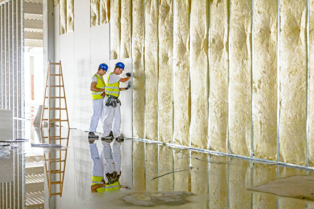 Best Insulation for Specific Applications in Untain Grove, MO